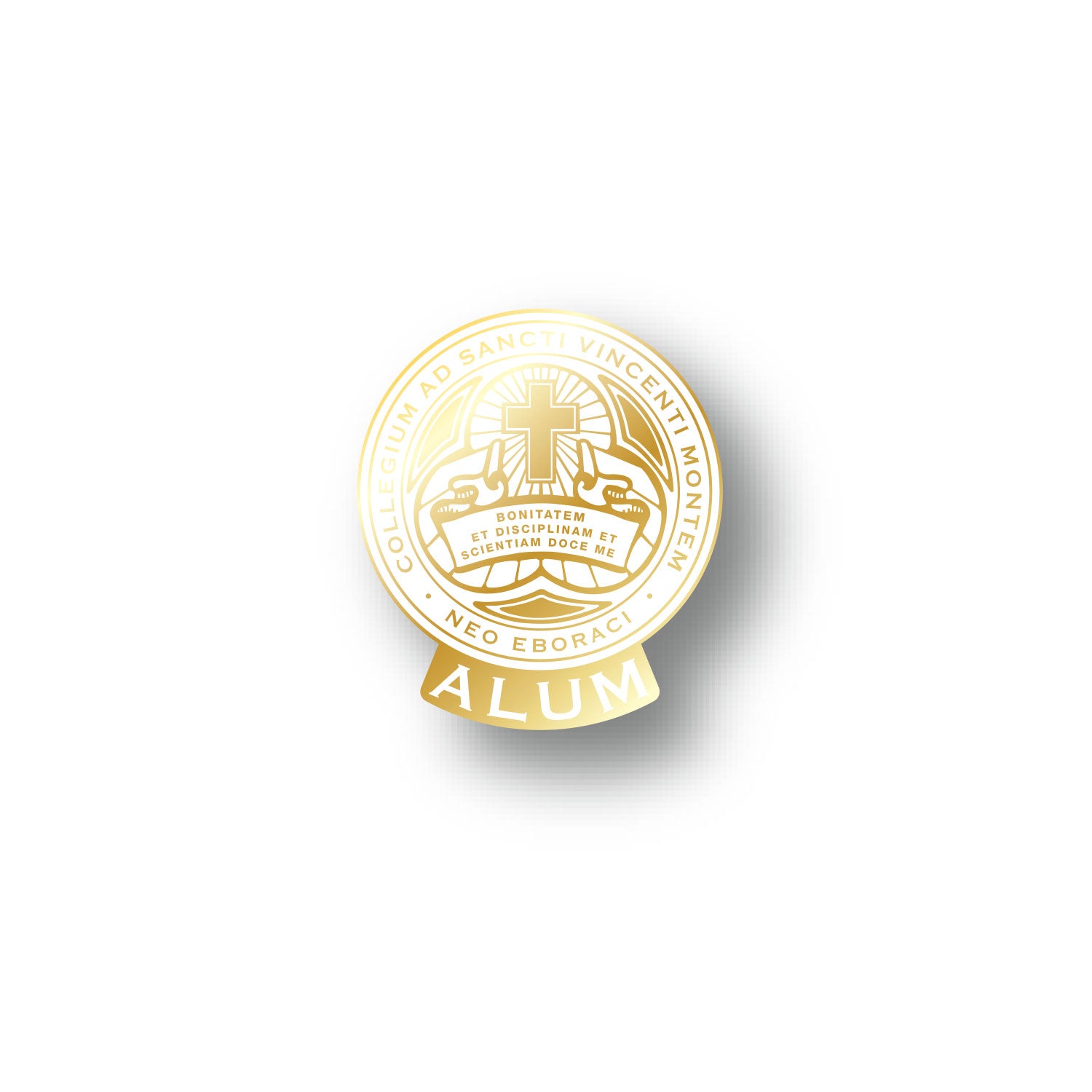 CMSV Alum Lapel Pin