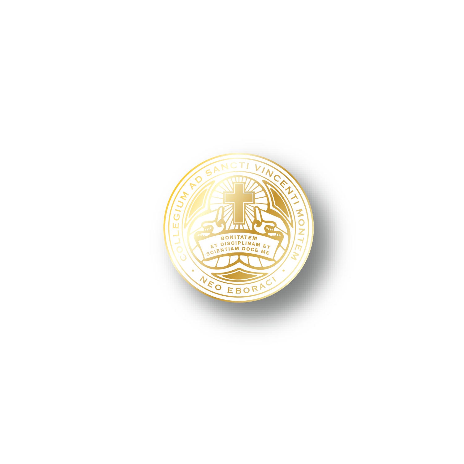 CMSV Logo Lapel Pin