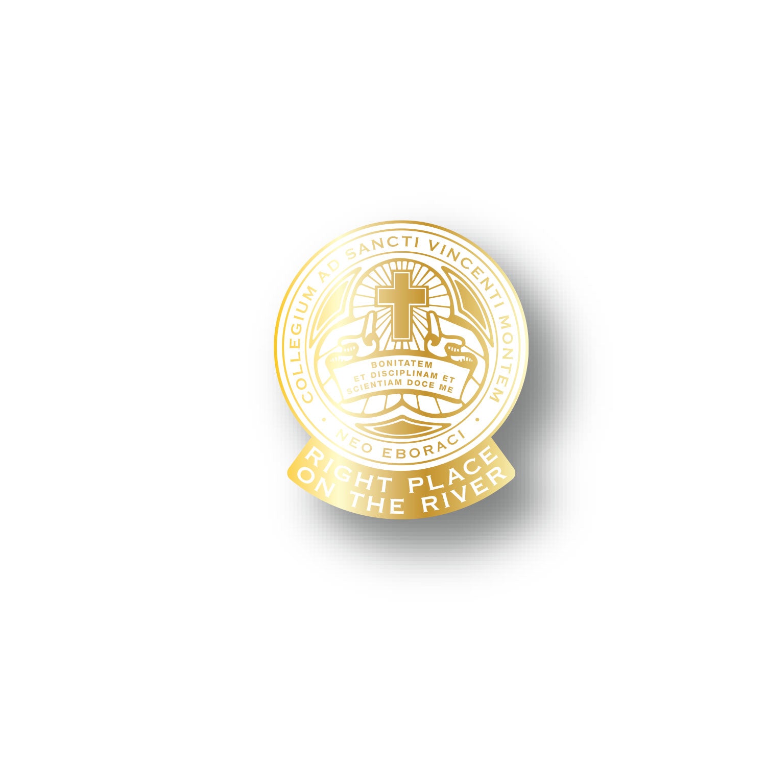 CMSV RPTR Lapel Pin