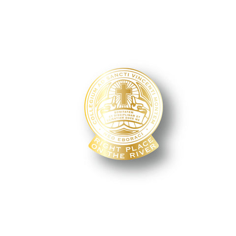 CMSV RPTR Lapel Pin